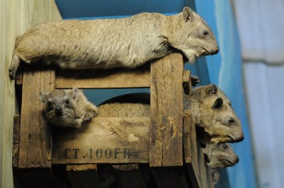 Sieste en famille_4298612823_l.jpg